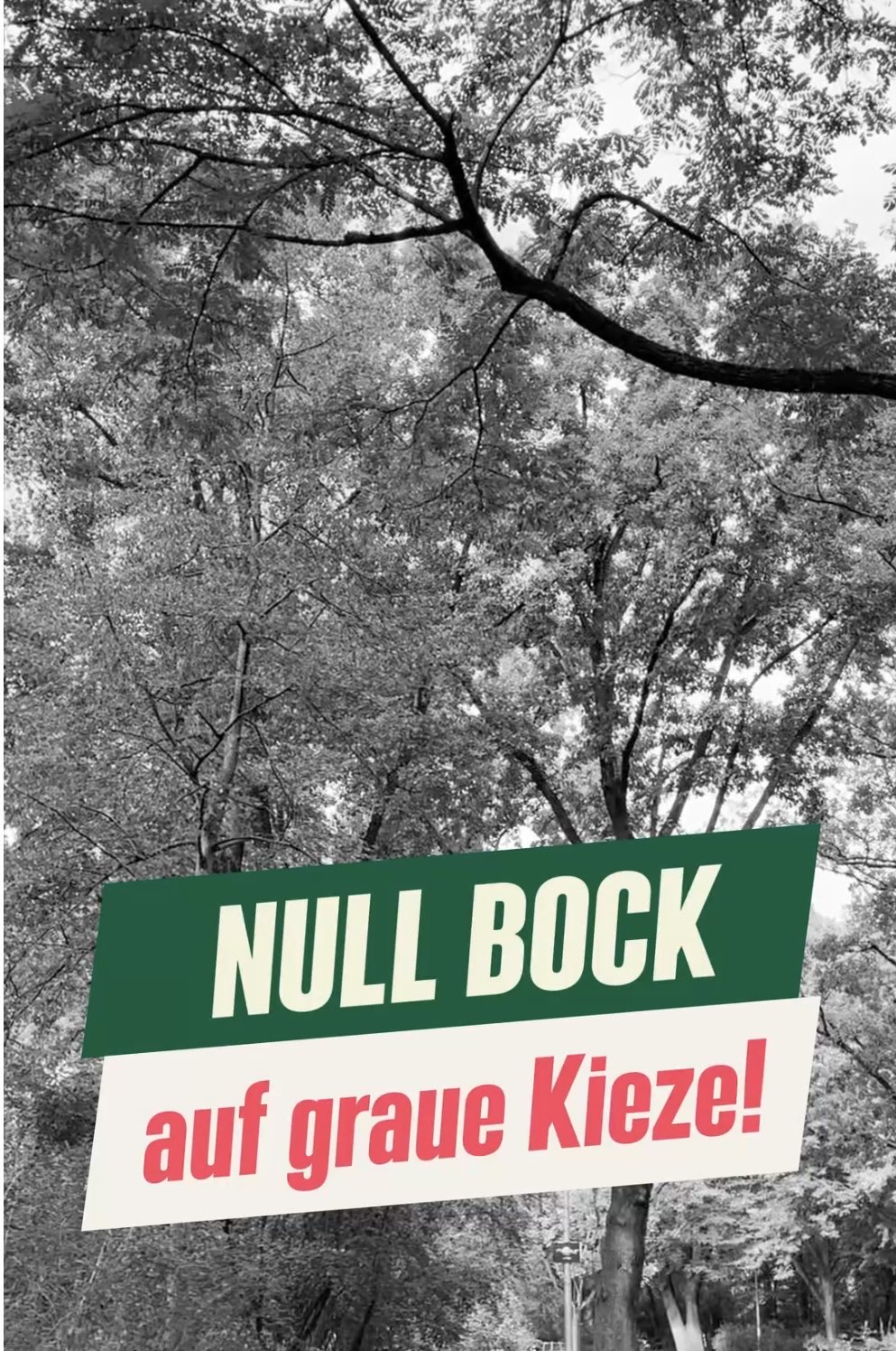 Featured image for “Ohne GRÜN geht’s nicht: Schwarz-Rot spart bei Grünflächenpflege, Klima und Prävention”