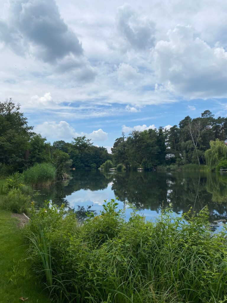 Der Waldsee